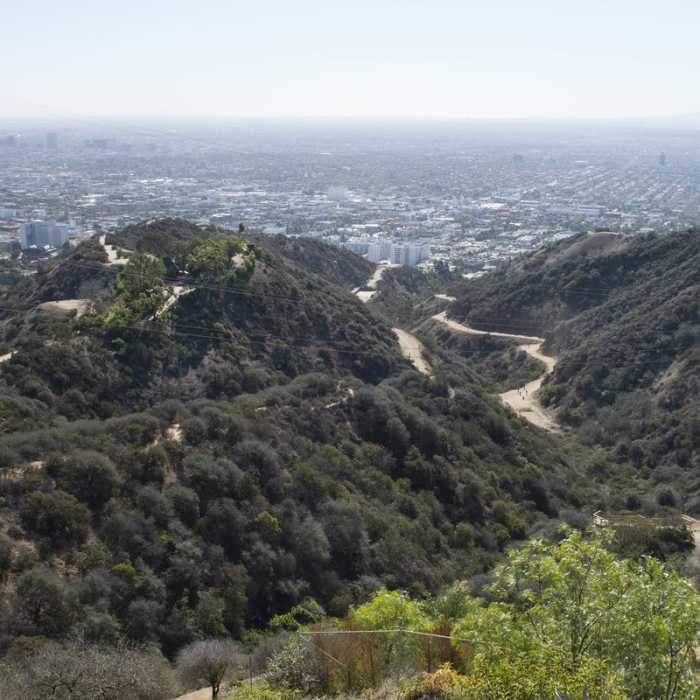 Near Runyon Canyon Park Loop