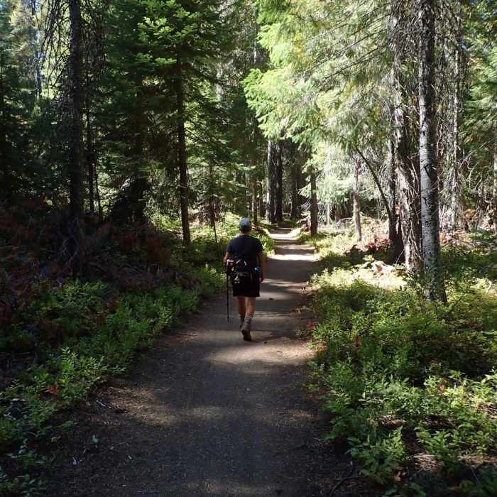 Near High Lakes Trail #6200