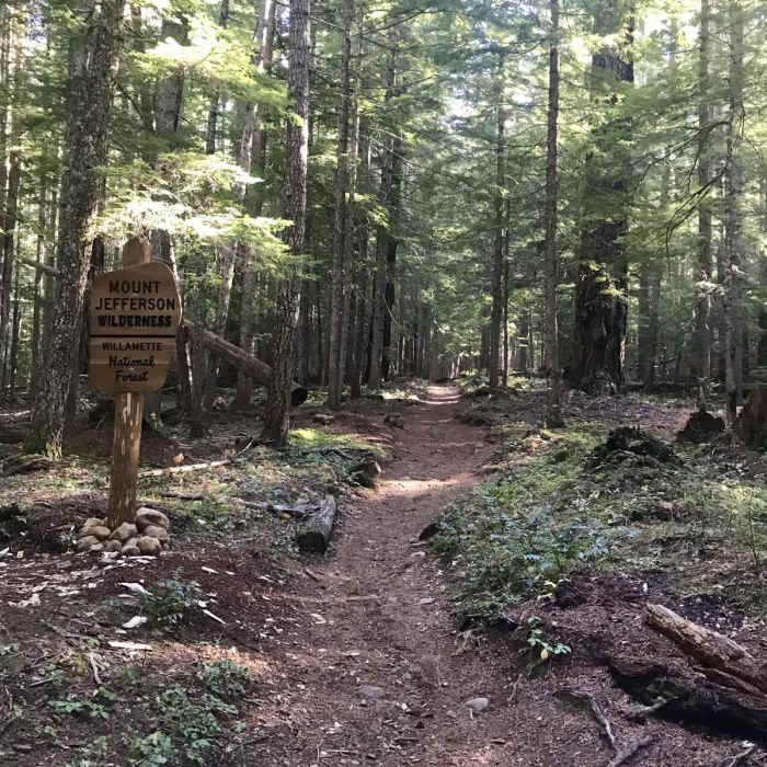 Near Marion Mountain via Marion Lake