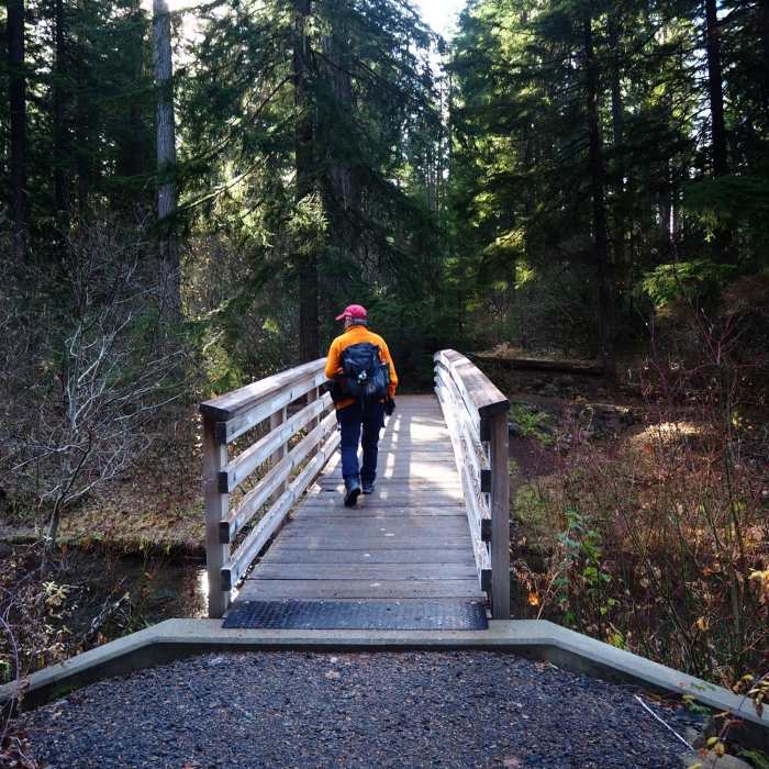 Near Rogue Gorge Trail #1034A