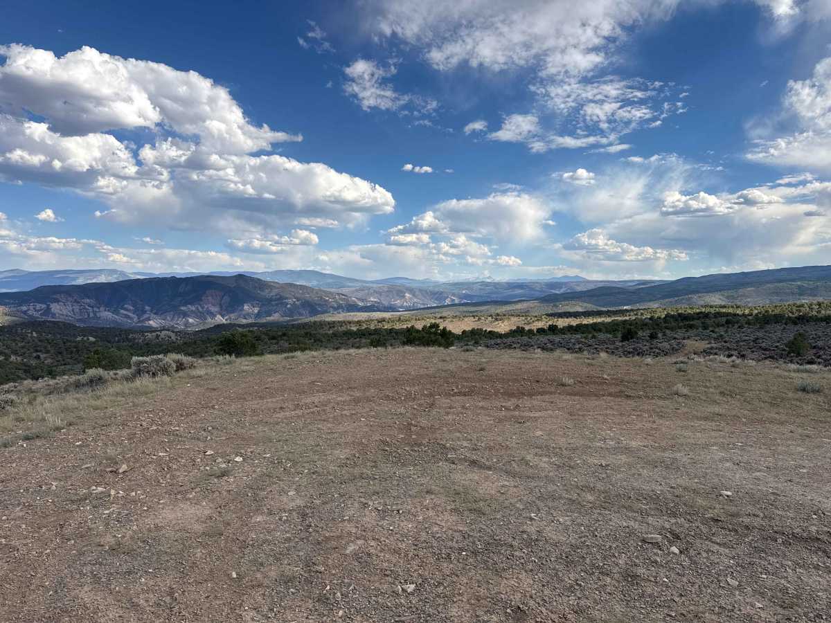 BLM 8453 photo 4