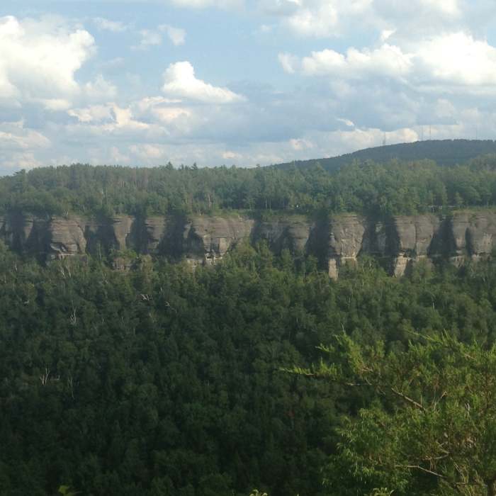 Near Escarpment Trail