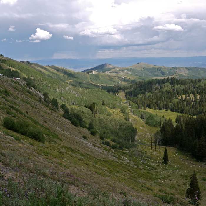 Near Scott's Bypass