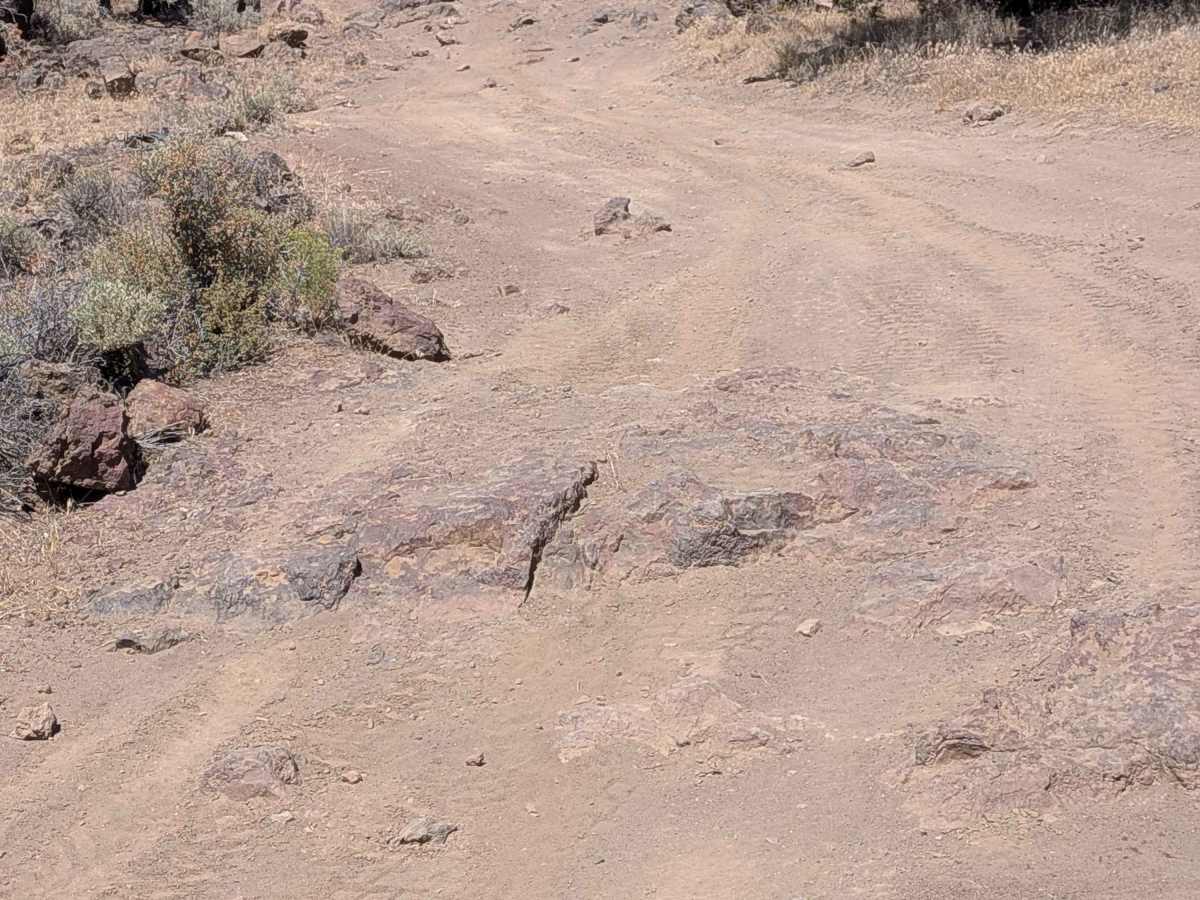 Cline Buttes Off Highway Vehicle Trail 49 photo 6