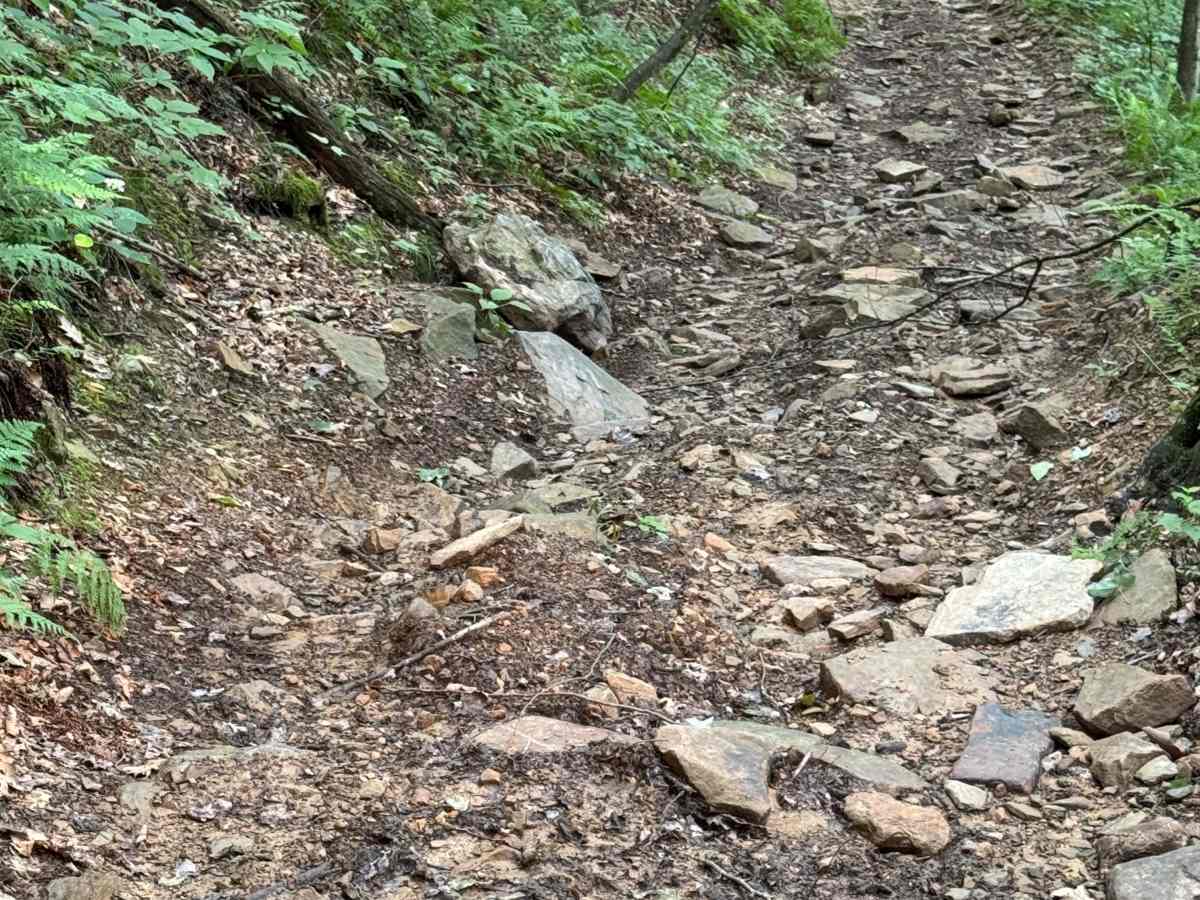 Trail 29 photo 3