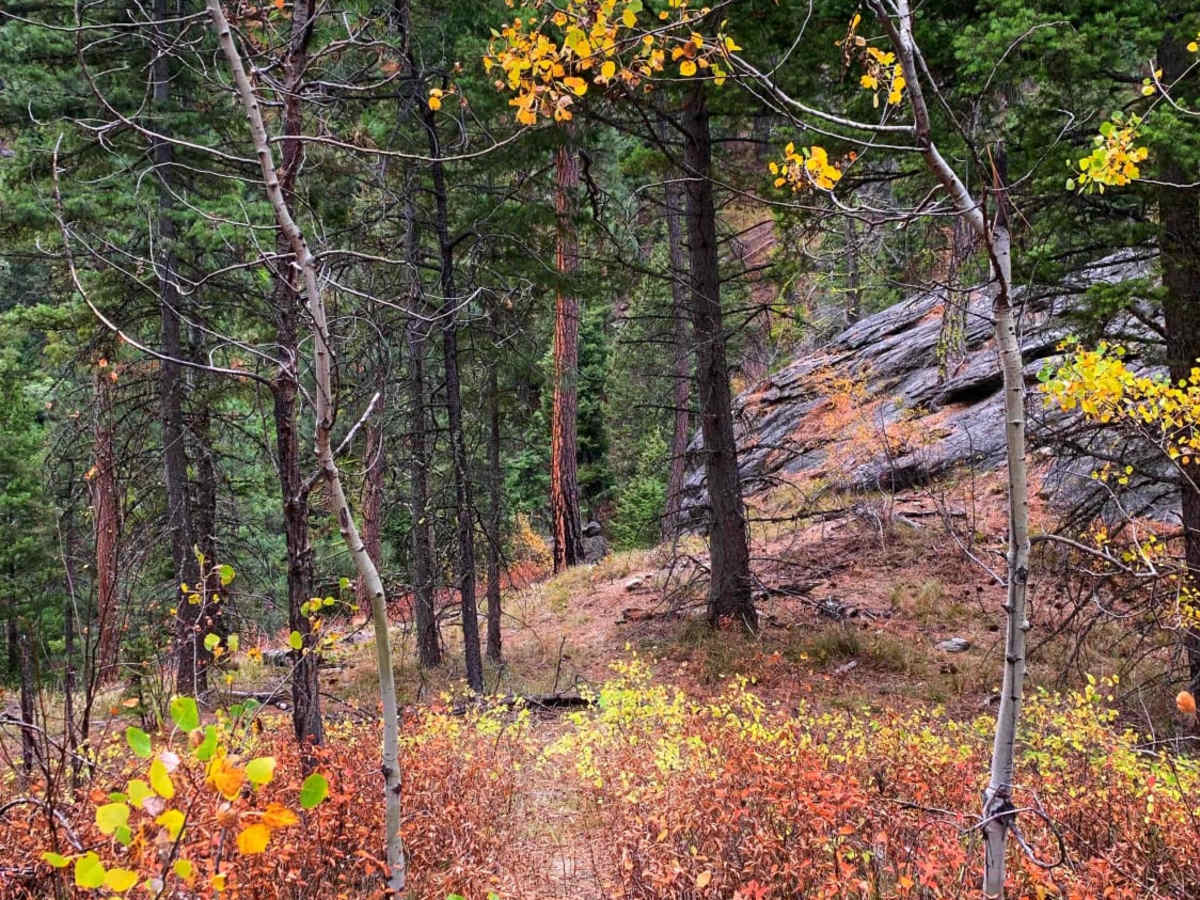 Lower Smith Ridge trail photo