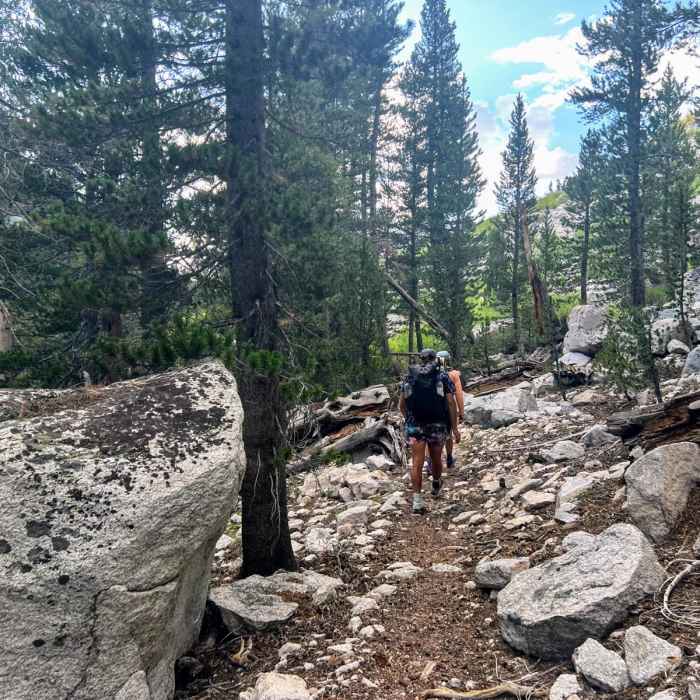 Near Second Recess Loop