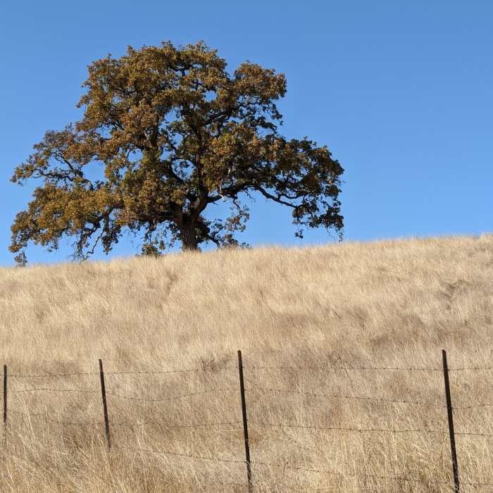 Near Snell Barn Loop