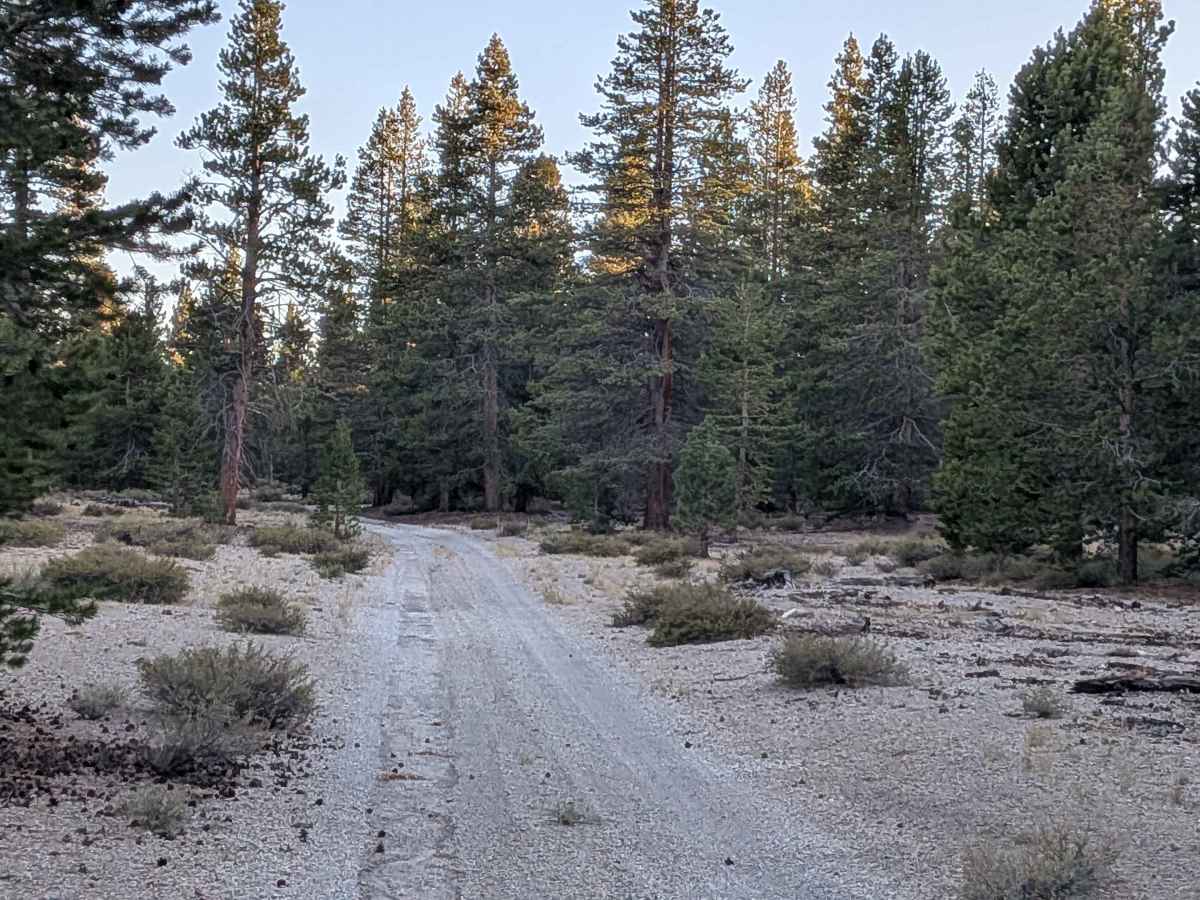 Get Lost Cutoff - FS 1S41 trail photo