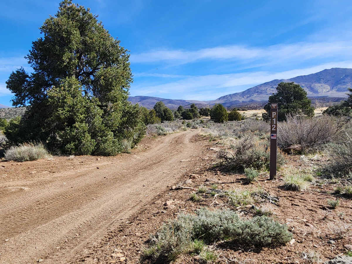 Lone Pine Canyon Road - BLM P-12 trail photo