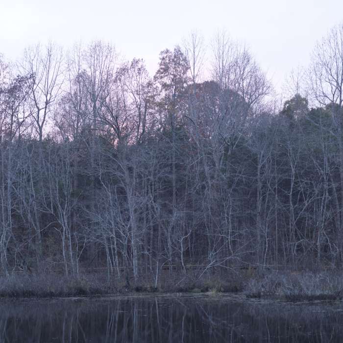 Near Sloans Crossing Pond Walk