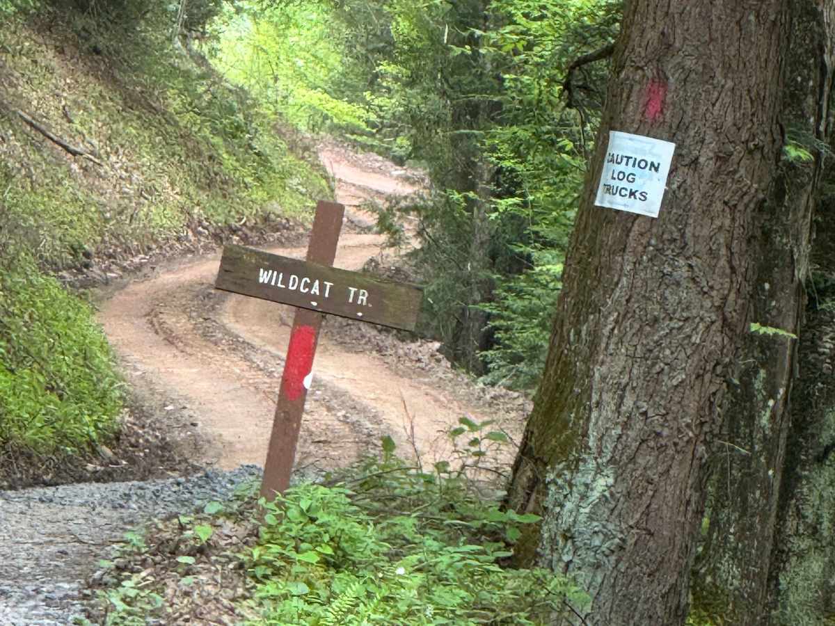 Wildcat Trail trail photo
