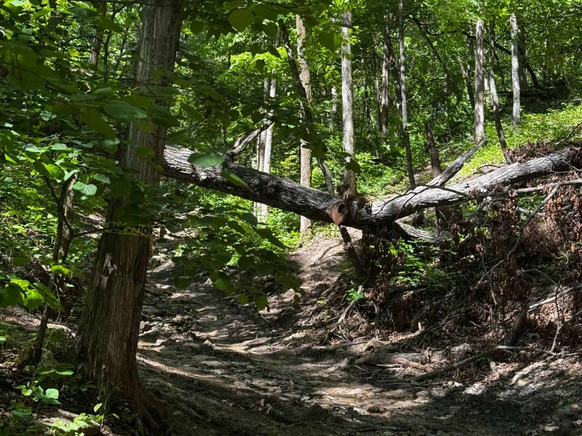 Inner Track 30 photo 5