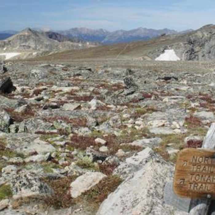 Near Hallett Peak Approach