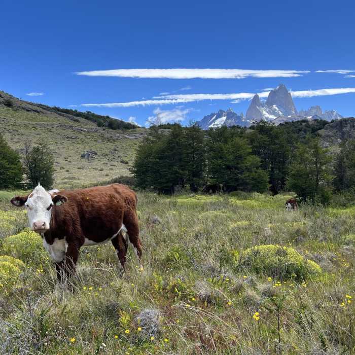 Near Loma del Pliegue Tumbado