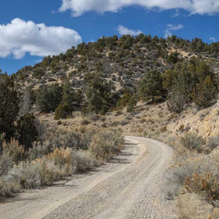 Near Saxton Peak - South Trail