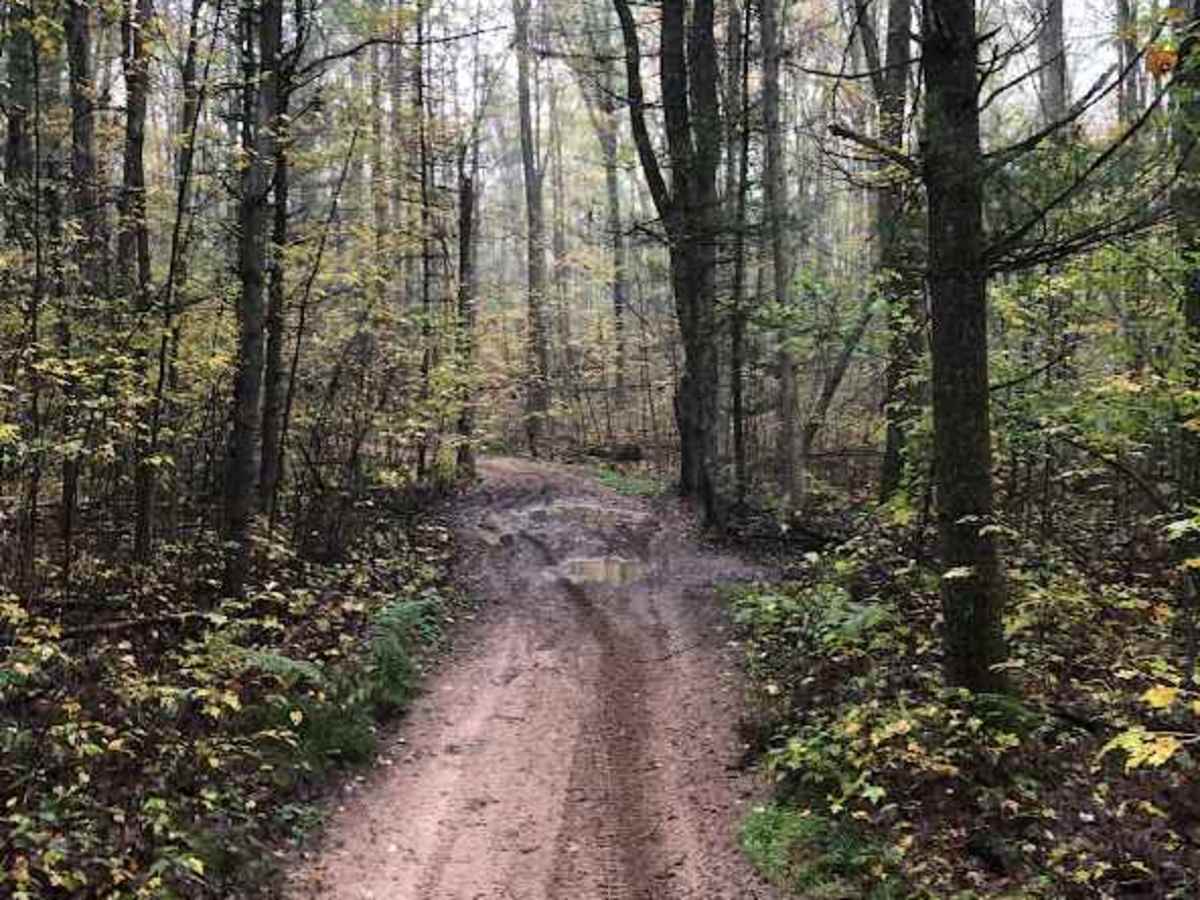 Little "O" Motorsport Trail photo 4