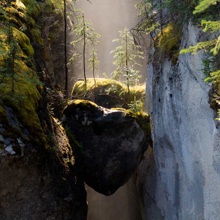 Near Maligne Canyon Trail