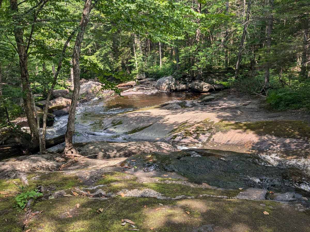 Grass River Trail Connector  photo 2