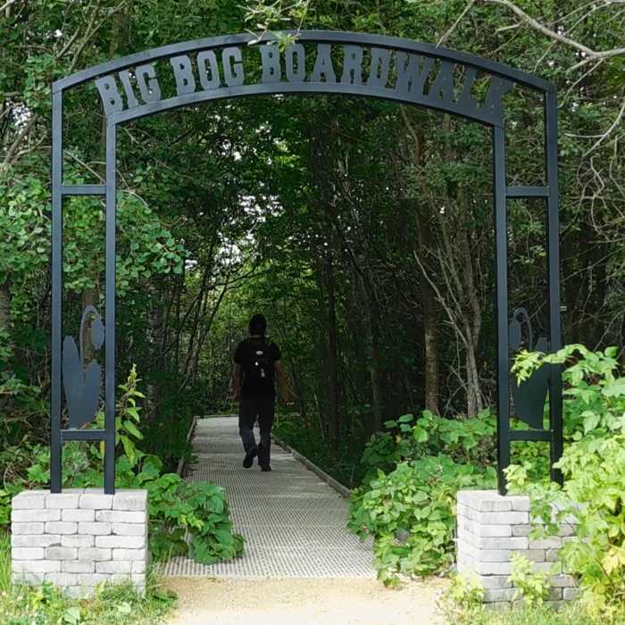 The entrance to the Big Bog Boardwalk. Near The Big Bog