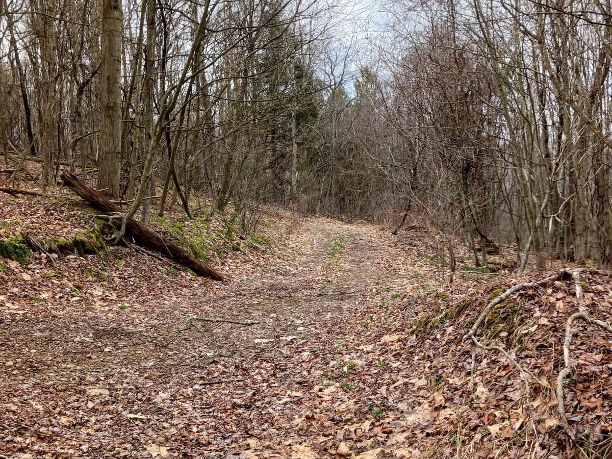 Trail 15A - Rock Run Recreation Area photo 4