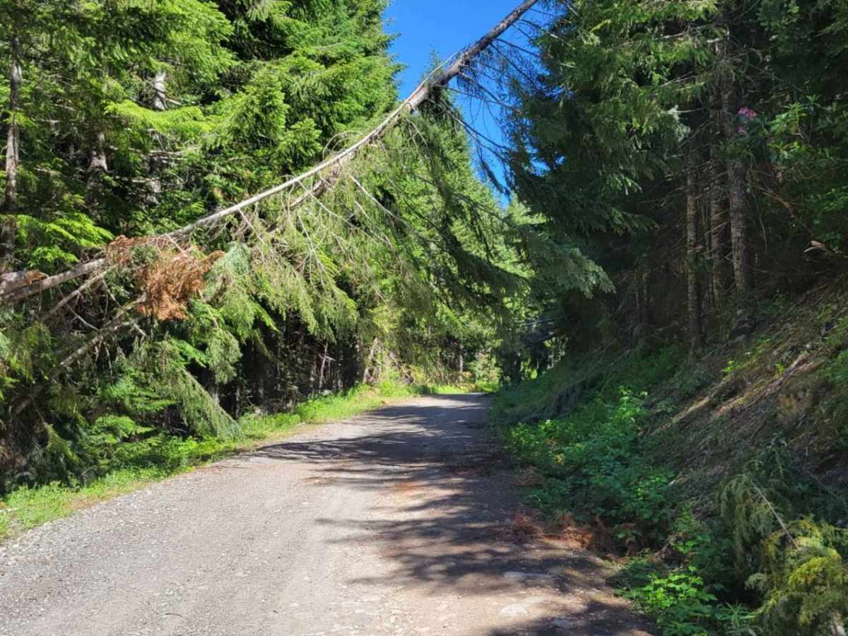 Still Creek Road photo 3