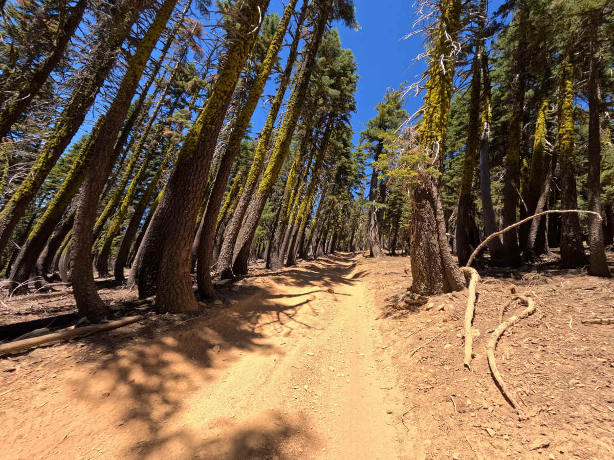 Sierra Buttes Trail photo 6