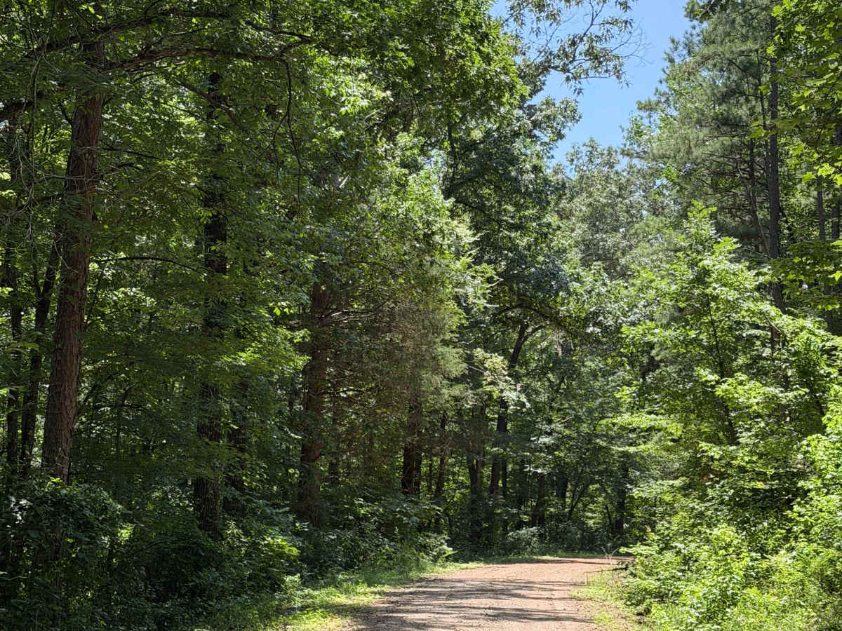 West Fork Scenic Drive photo 5