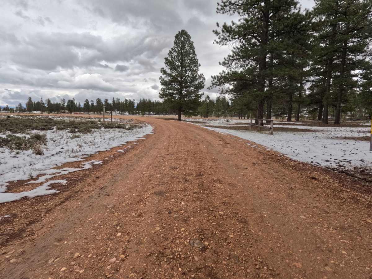 FS 31174 trail photo