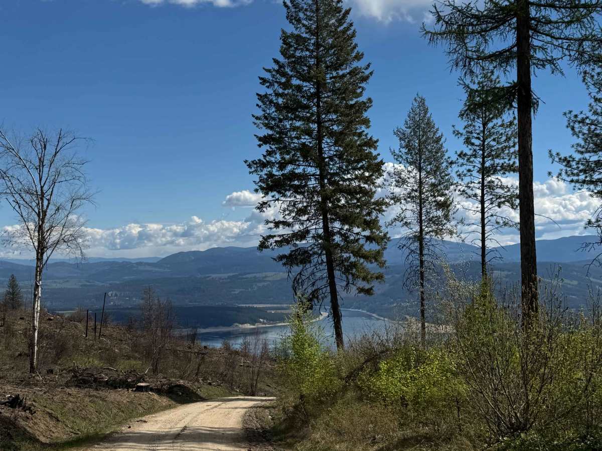 Nancy Creek Road photo 3