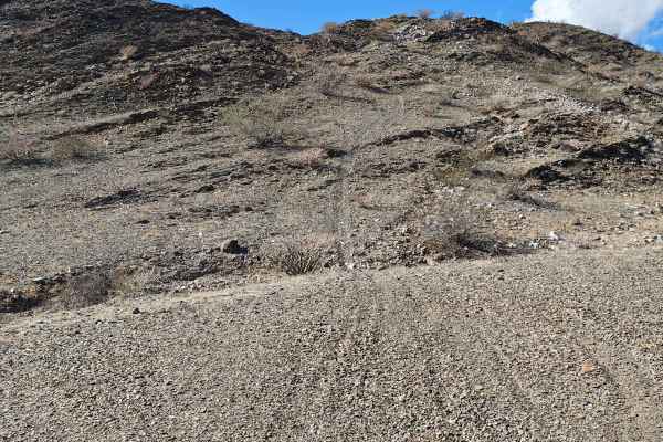 La Gringa Fun Loop - Single Track