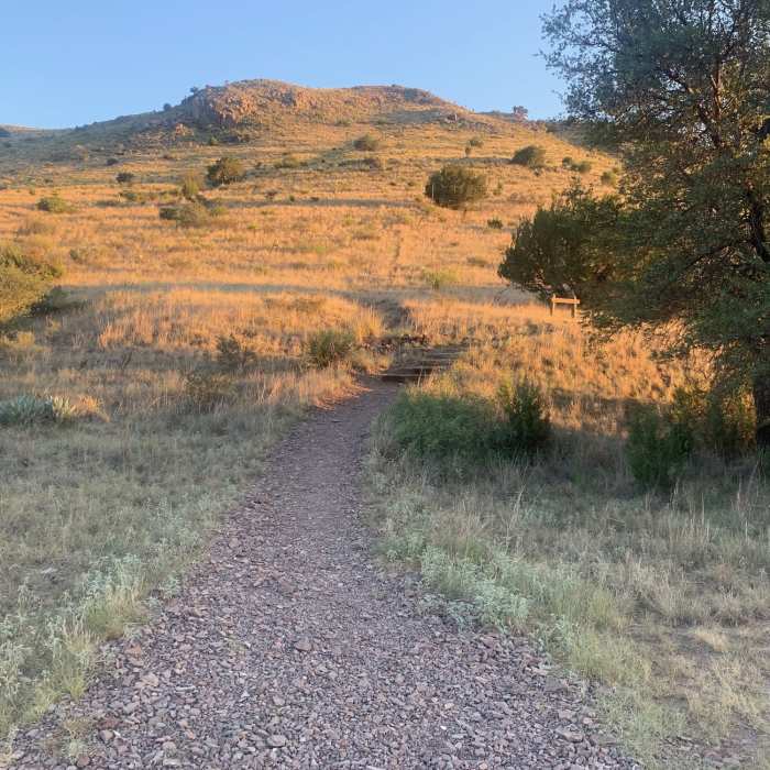 Near Indian Lodge/Montezuma Quail Loop