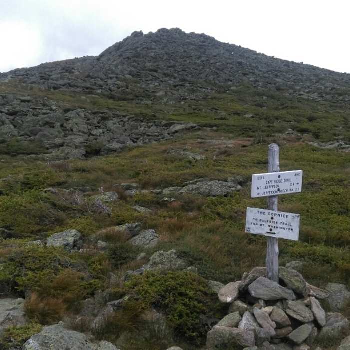 Upper trail junction and summit. Near Caps Ridge Trail