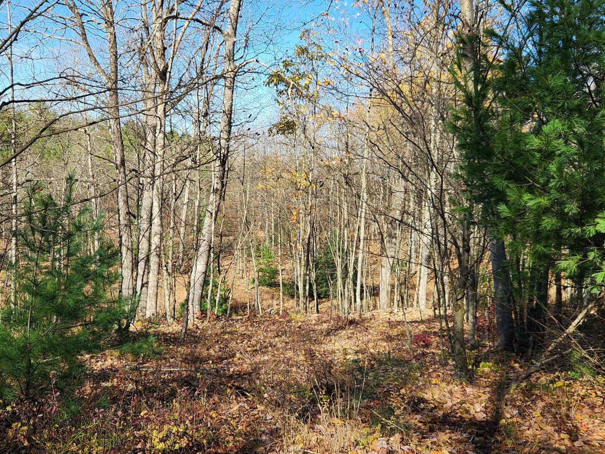 OHV 3 - Rock Run Recreation Area photo 2