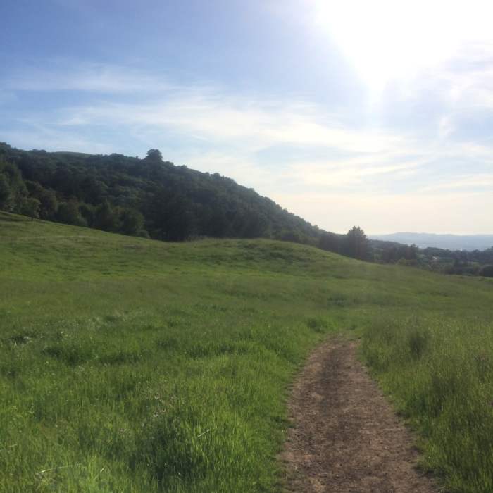 Near North Sonoma Mtn Trailhead to Sonoma Mtn Peak