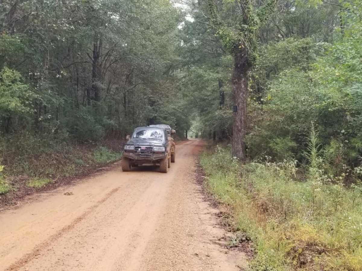 Bienville Scenic Trail photo 4