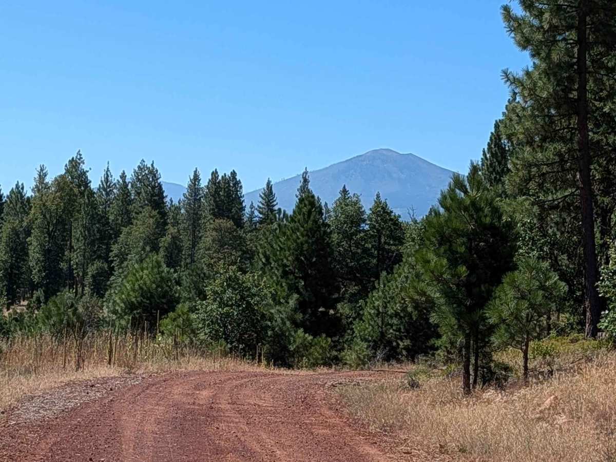 Pit Long Valley - FS 35N15 photo 6