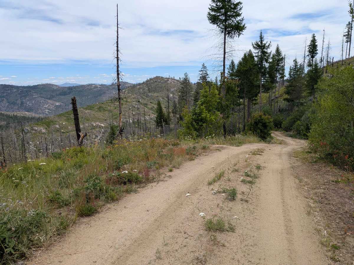 De Pue Creek Road trail photo