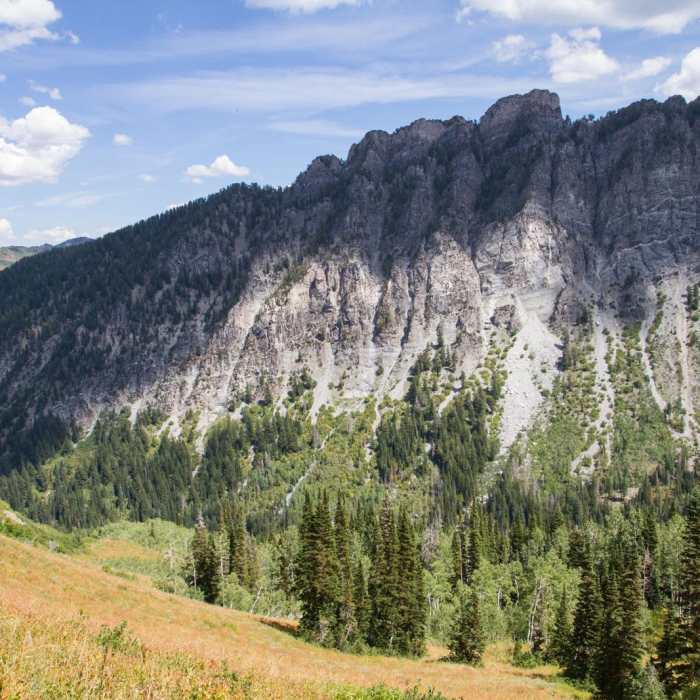 Near Kessler Peak Loop Hike via Carbonate Pass