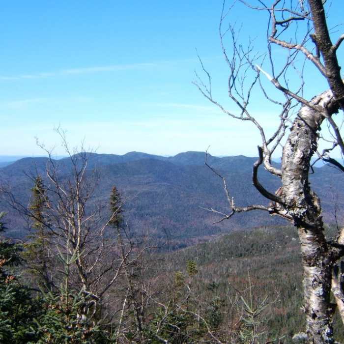 Near MacNaughton Mountain