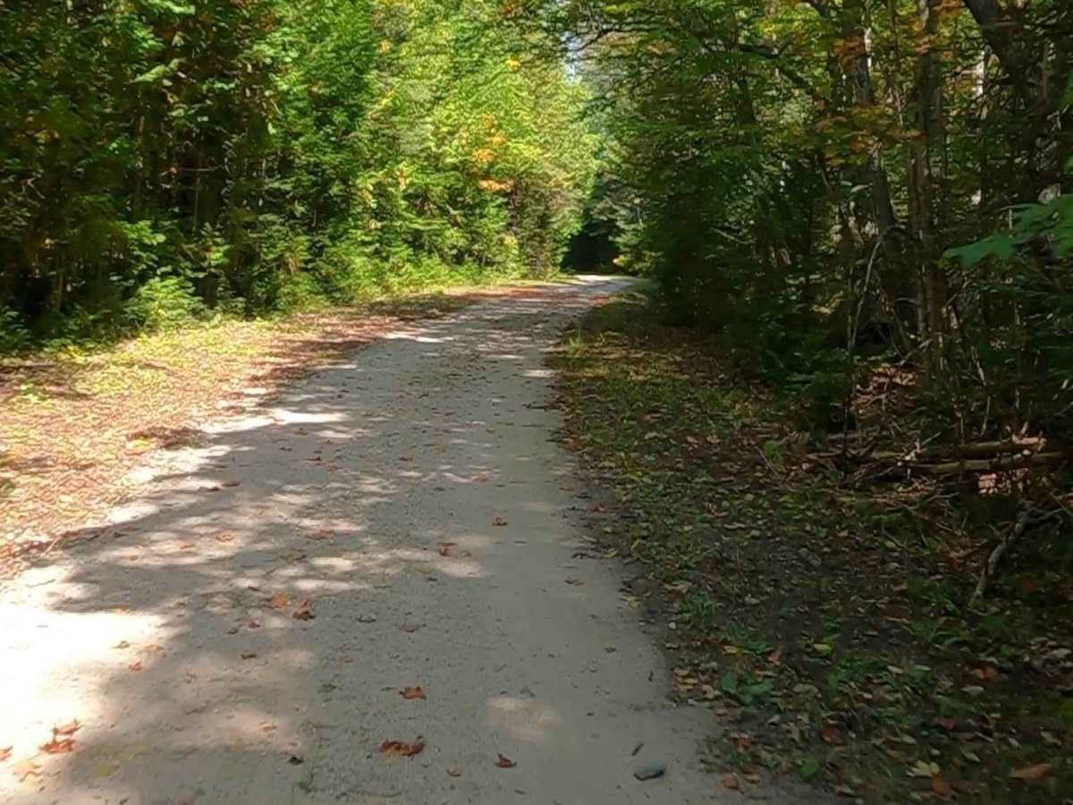 Koski Road - FS 3330 photo 6
