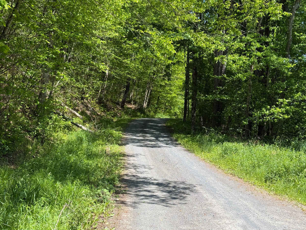 Lafayette Spring - FS 313 photo 4