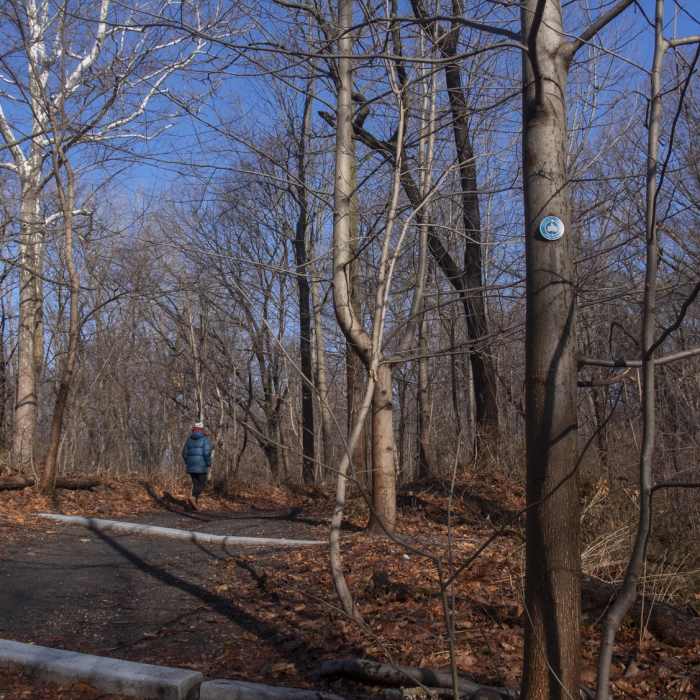 Near John Muir Trail