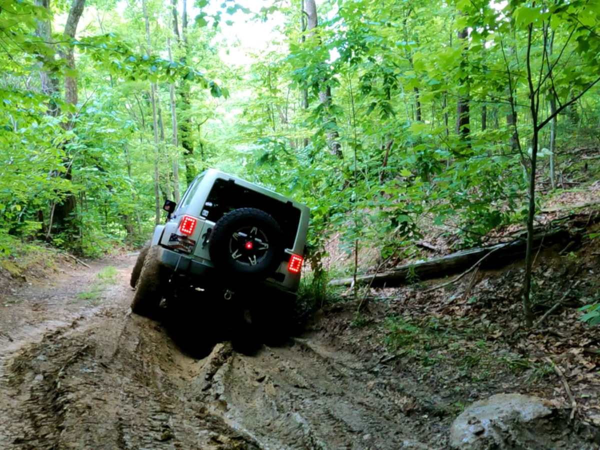 Cold Iron Fork Road photo 2