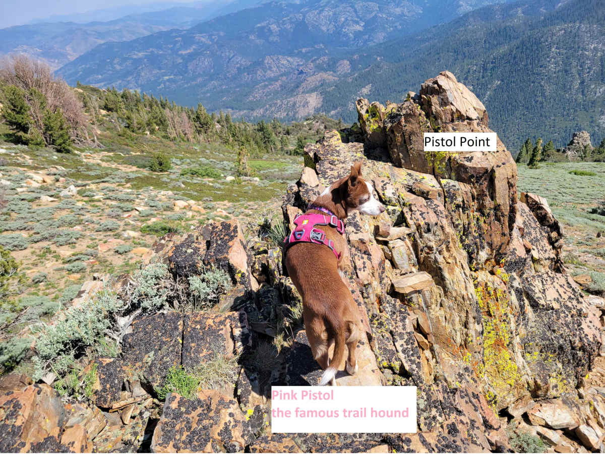 Pistol Point Trail photo 5