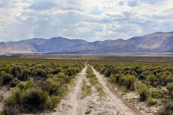 Rattlesnake Canyon