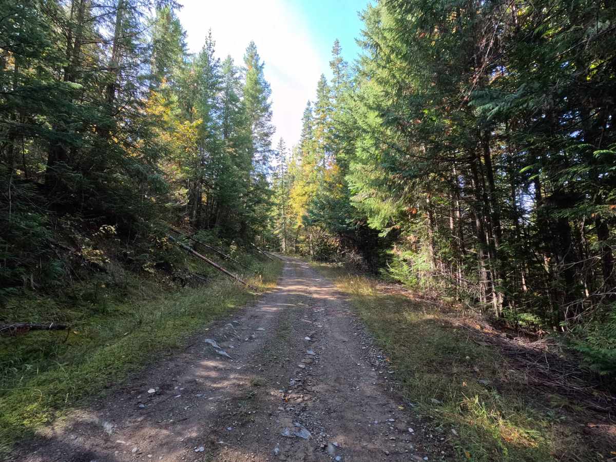 John’s Creek - FS 2200500 photo 2