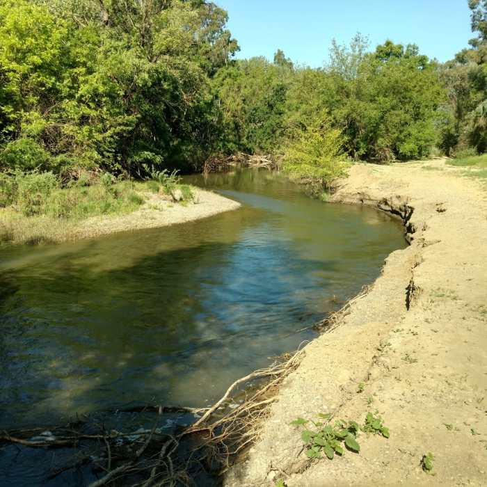 Near Putah Creek North Levee Trail