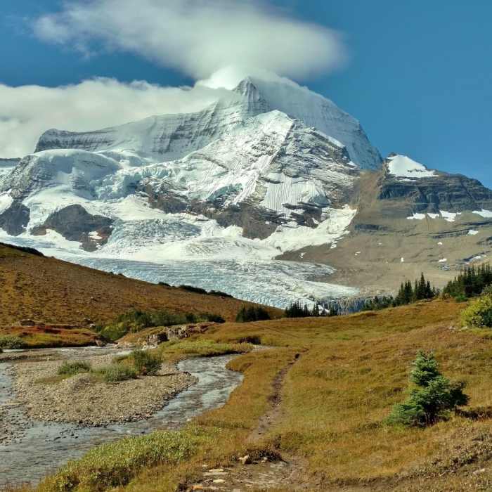 Mt. Robson from the upper meadows, below Snowbird Pass. Near Snowbird Pass Route