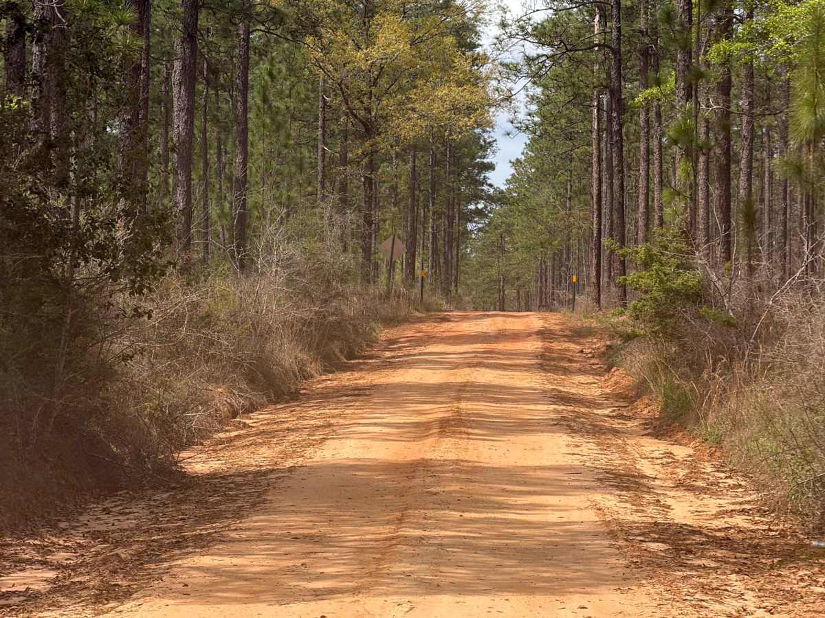Eadie Cotton Road photo 2